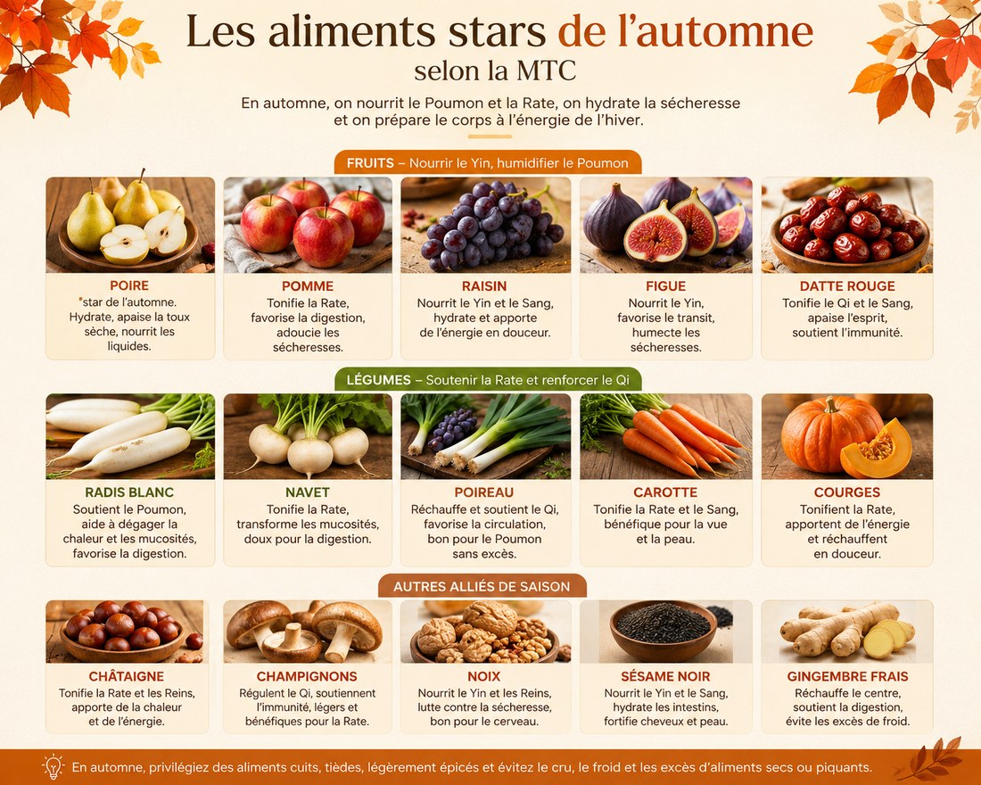 Fruits et légumes principaux de l'automne